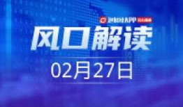 仙迪股份爆料新闻视频下载,深度解析公司内幕
