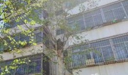石家庄天苑爆料事件最新,真相揭秘，居民权益再引关注