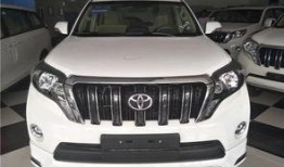 新款霸道爆料视频下载软件,独家爆料视频下载软件深度解析